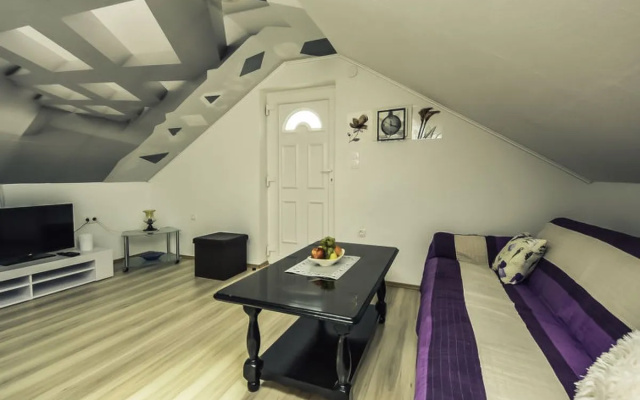 Apartment Amadea Novigrad (Zadar) 42532