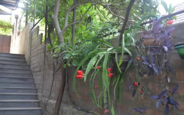 Tbilisi Hostel AAA