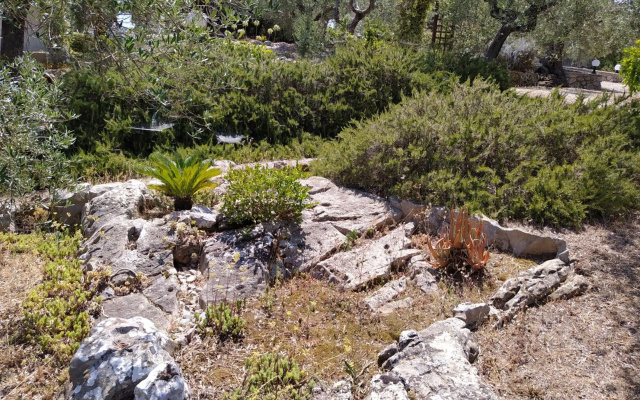 Il giardino di Mary