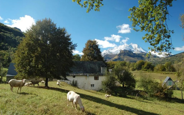 Les Terres Nères