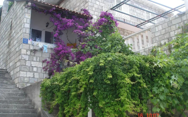 Apartments Jany