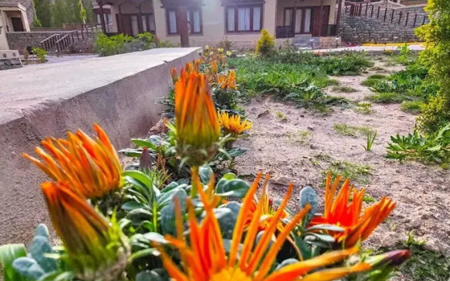 Nirvana Retreat
