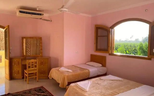Elsanosy Family Guest House - Luxor
