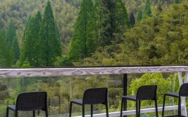 Moganshan Flowing Water Shadow Falling Homestay