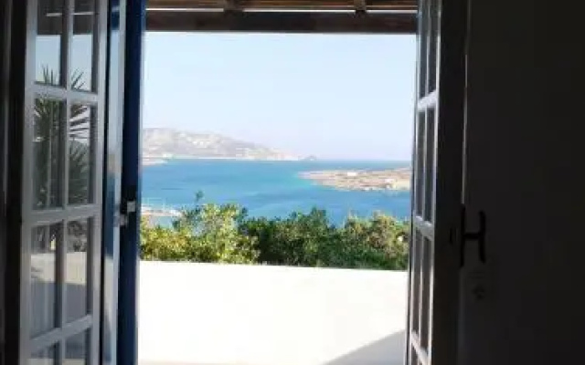 Alkionides Studios