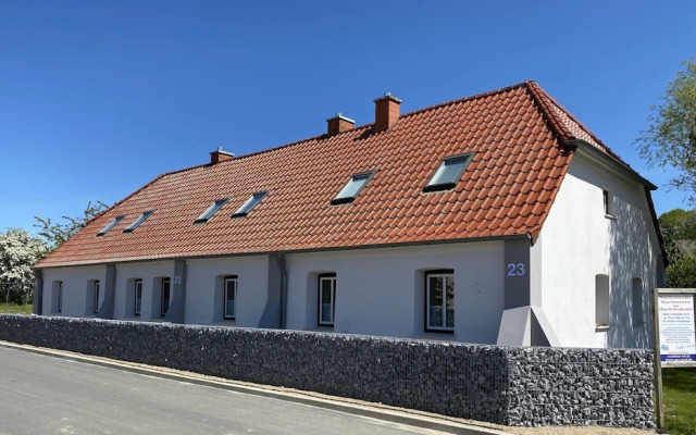 Ostseemuschel