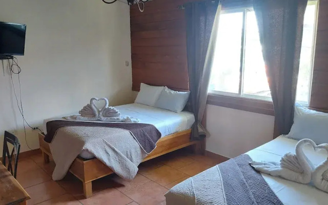 Hotel Calle 6
