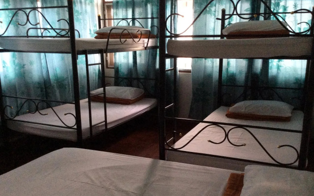 Mint House - Hostel