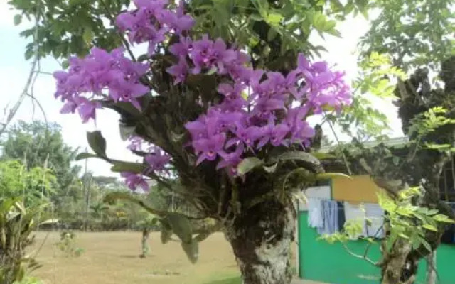 Posada Rural Oasis