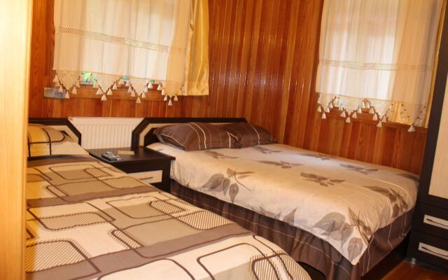 Ayder Avusor Butik Otel Турция, Чамлыхемшин - отзывы, цены и фото номеров - забронировать отель Ayder Avusor Butik Otel онлайн вид на фасад
