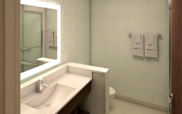 Holiday Inn Express & Suites Tampa East - Ybor City by IHG
