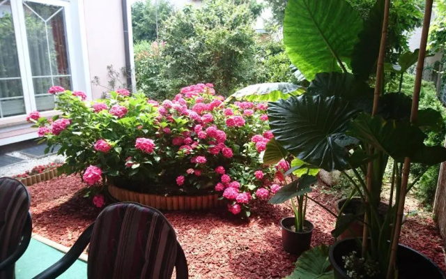 Bed & Breakfast Zeleni Kakadu