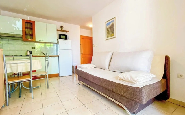 Apartment Brdar