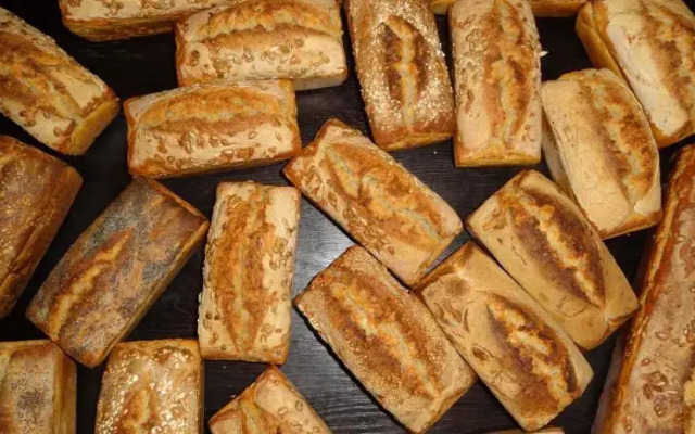 Dom gościnny Ptaszarnia
