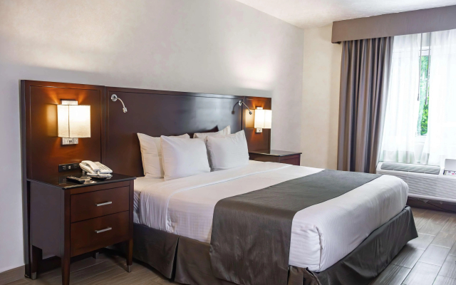 Best Western Plus Monterrey Colon
