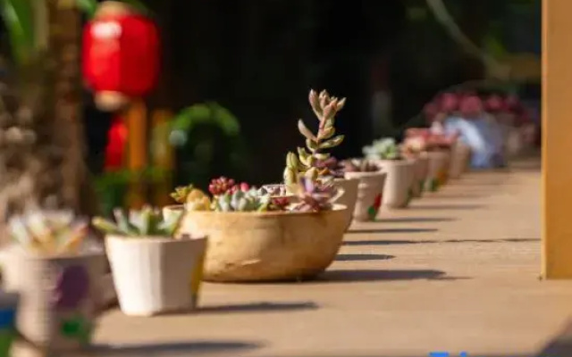 Lijiang Chanqi Holiday Courtyard Inn