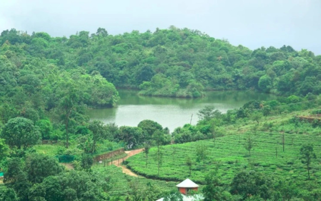 Ann Homestay