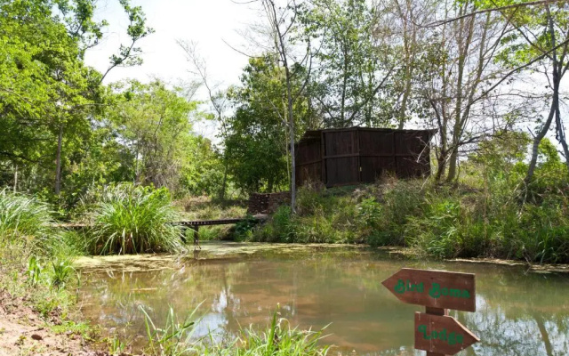 Greenfire Hazyview Lodge