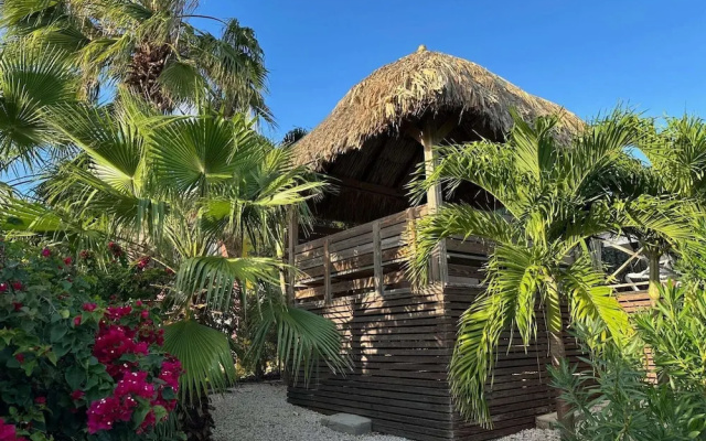Villa in Jan Thiel With Private Pool