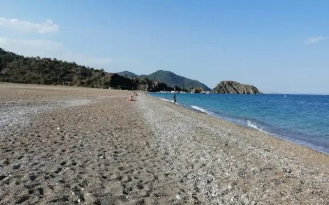 Şah Apart