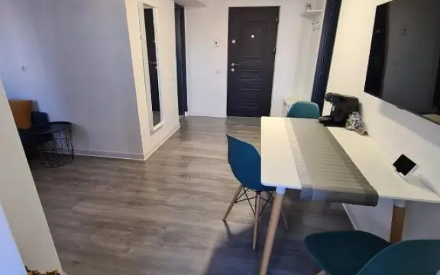 Central Apartment