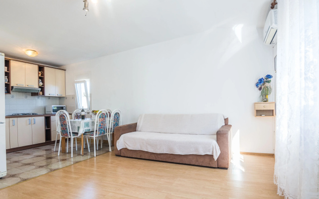 Apartment Basic 1
