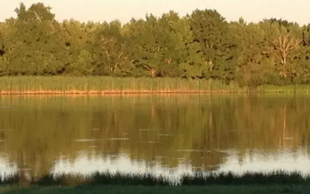 Etang Fourreau B&B