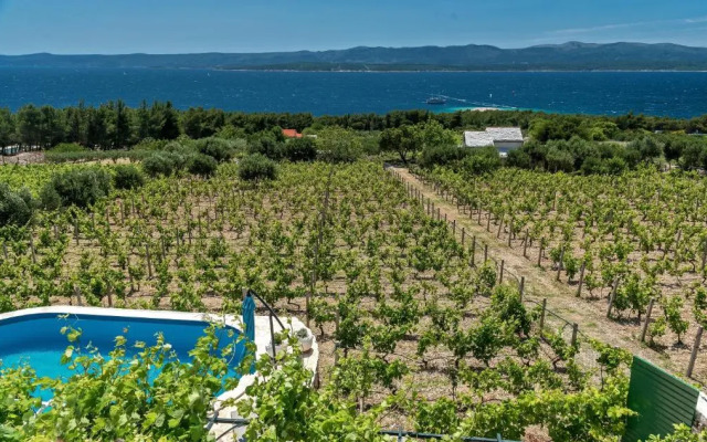 Holiday Home Vineyard House