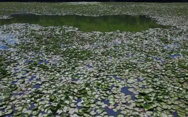 Pelican Lake Guesthouse