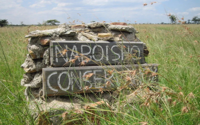 Naboisho Camp - All Inclusive