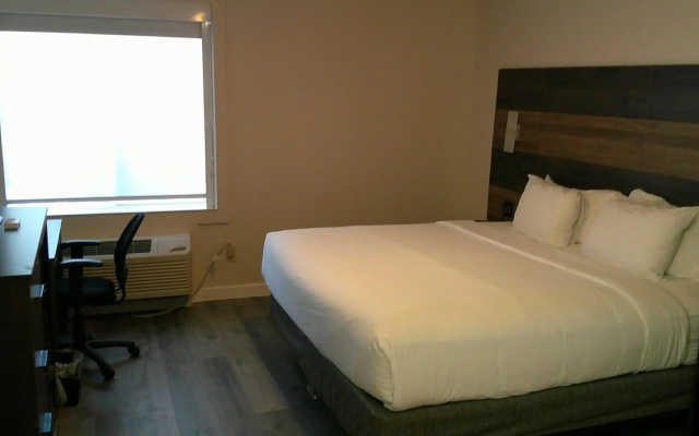 HOM Hotel Gainesville, SureStay Collection by Best Western