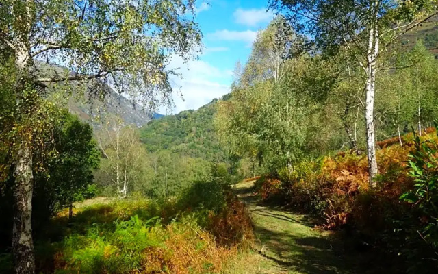 Montagne et Vie