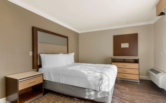 Best Western Plus Forest Park Inn