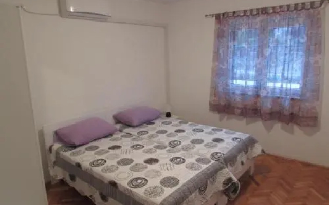 Room Bioci