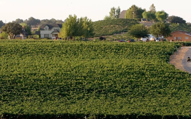 San Marcos Creek Vineyard & Winery