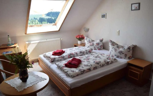 Hotel Carola