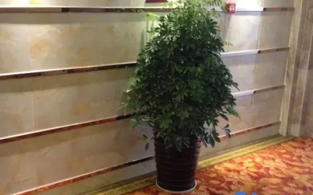 Nanning Yongyuan Express Hotel