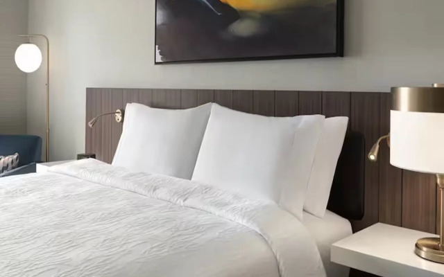Hilton Garden Inn Grand Prairie At Epiccentral