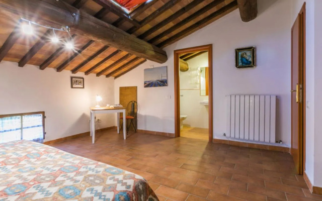 Giuggiolo - Giuggiolo 5 (PGG174)