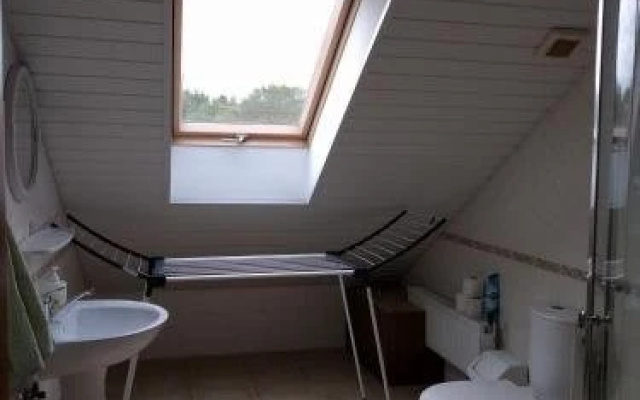Pas Birutę