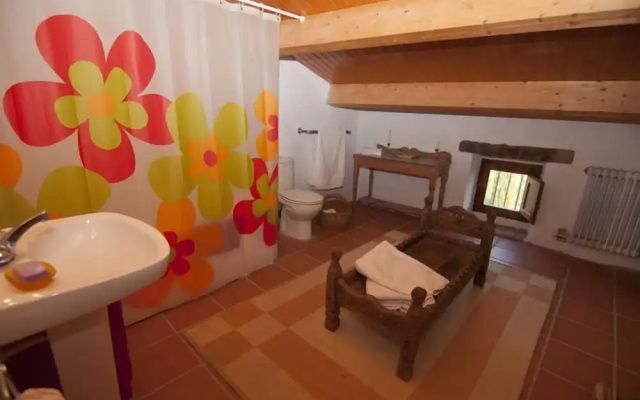 Celler Colltor