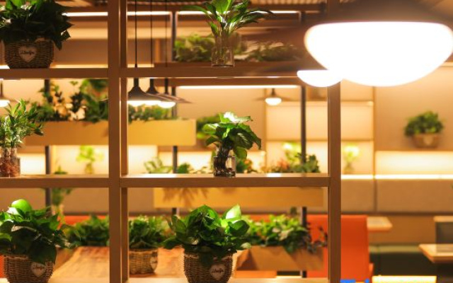 TRUE GO Hotel (Central Avenue Subway Station Baicheng Railway Station)