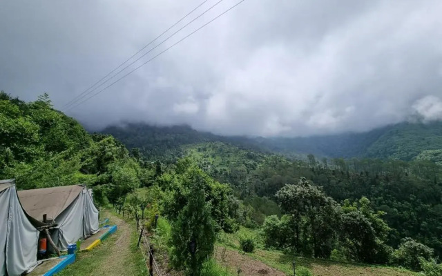 Jungle Live Inn Camps & Resorts