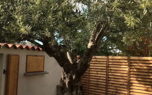 B&B Aux Delices de l'Olivier