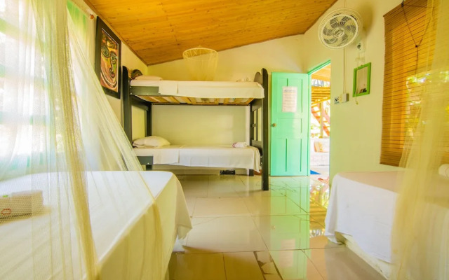 Eco Hotel Casa Lola - Hostel