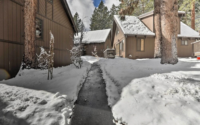 Lazy Bear Cabin