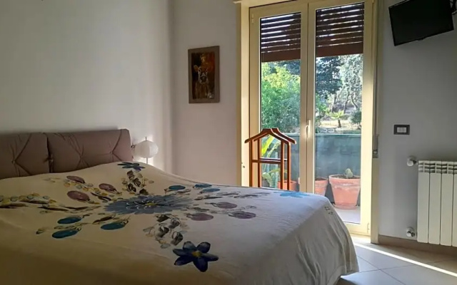 Albatros rooms