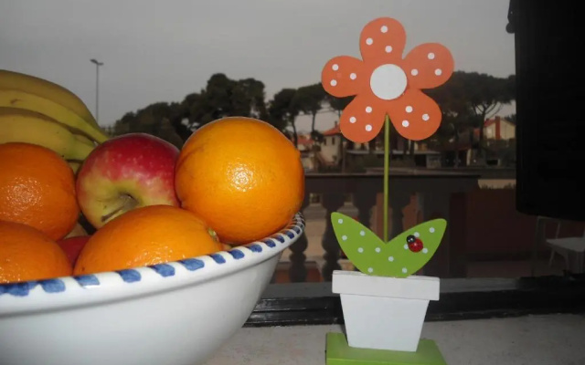Apartment And Rooms Toka