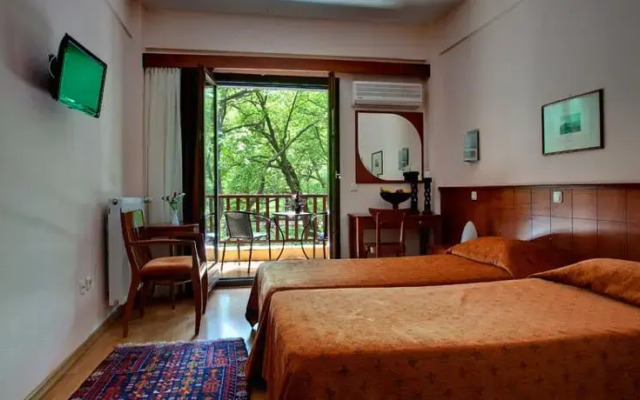 Hotel Vermion