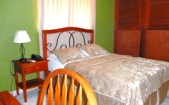 THE Green Frog Inn Bed and Breakfast